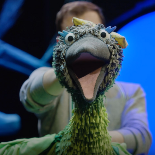A green bird puppet with it